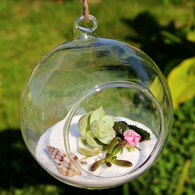 Transparent Wall Hanging Glass Ball Planter Terrarium Container Vase DIY-L047-01-1