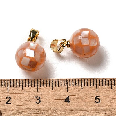 Natural Pink Shell Dyed Round Charms SSHEL-H071-01G-04-1