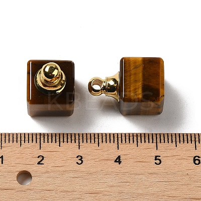 Natural Tiger Eye Perfume Bottle Pendants G-Z039-04G-02-1