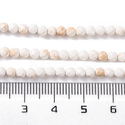Natural Howlite Beads Strands G-C025-02B-09-1