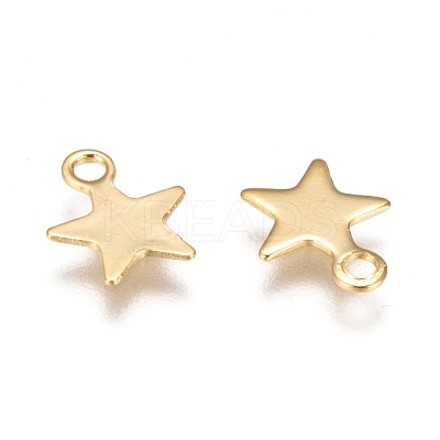 304 Stainless Steel Charms STAS-F159-43G-1