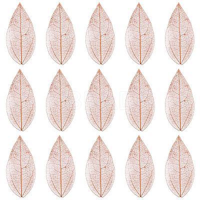 100Pcs Dried Flower Leaf Craft Supplies AJEW-CP0009-41C-1