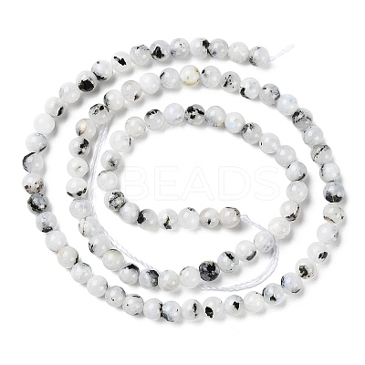Natural Rainbow Moonstone Beads Strands G-Q1001-A05-01-1