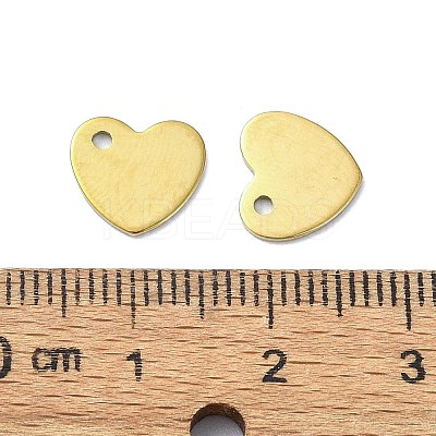 Ion Plating(IP) 201 Stainless Steel Charms STAS-H191-01B-G-1