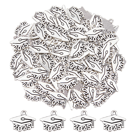 100Pcs Tibetan Style Alloy Pendants FIND-DC0007-27AS-1