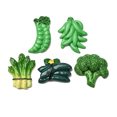 Opaque Resin Imitation Vegetable Cabochons RE-CBAE980-10-1