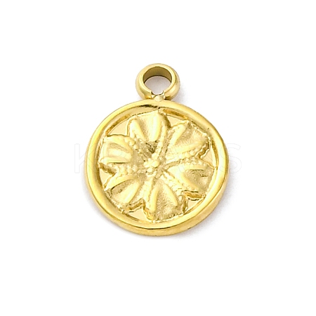 304 Stainless Steel Charms STAS-S163-14G-1
