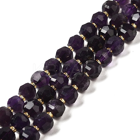 Natural Amethyst Beads Strands G-P508-A09-01-1