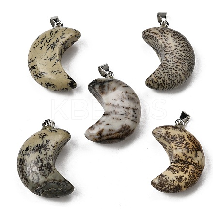 Natural Variscite Pendants G-F820-02G-1