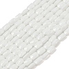 Opaque Glass Beads Strands GLAA-Z018-D17-1