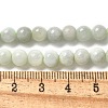 Natural Myanmar Jadeite Beads Strands G-L595-C01-01A-5