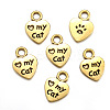 Tibetan Style Alloy Pendants PW-WGC9DF2-06-1