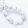 Round Natural Howlite Bead Strands G-R345-10mm-18-3