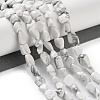 Natural Howlite Beads Strands G-P497-01C-64-2