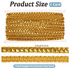 Metallic Braided Lace Trim OCOR-WH20020-24F-2