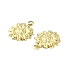 304 Stainless Steel Charms STAS-L269-019G-3