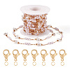 DIY Brass Glass Butterfly and Plastic Imitation Pearl Beaded Chains Necklace Jewelry Kits DIY-TA0010-49-1