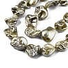 Shell Pearl Beads Strands BSHE-Q031-15E-3