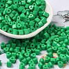 Baking Paint Glass Bead SEED-H002-K-D305-1