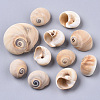 Natural Conch Shell Beads SSHEL-S258-78-2