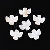 Natural Freshwater Shell Carved Beads SHEL-N036-12-1