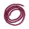 Transparent Glass Beads Strands GLAA-C019-01B-02-2