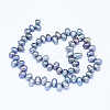 Natural Cultured Freshwater Pearl Beads Strands PEAR-G004-01C-01-X-2