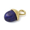 Dyed Natural Lapis Lazuli Pendants LS-STAS-L277-07G-06-2