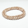 Electroplate Glass Bead Strands EGLA-G014-8mm-FR-A05-3