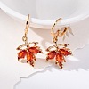 Brass Micro Pave Cubic Zirconia Leverback Earrings EJEW-K300-42G-2