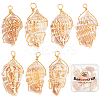 10Pcs Natural Conch Shell Big Pendants FIND-BBC0003-11-1