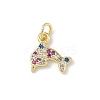Brass Micro Pave Cubic Zirconia Charms ZIRC-I356-13G-02-1