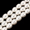 Electroplated Shell Pearl Beads Strands BSHE-B008-04-1