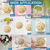 1Pc PET Hollow Out Drawing Painting Stencils DIY-MA0005-52-5