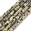 Natural Dalmatian Jasper Beads Strands G-B091-A19-01-2