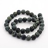 Frosted Natural Kambaba Jasper Beads Strands G-M272-14-6mm-2