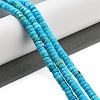 Dyed Natural Magnesite Beads Strands G-G121-A01-01-2