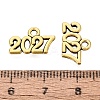 New Year's Day Tibetan Style Alloy Charms FIND-N014-01AG-3