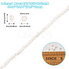 1 Strand Natural Trochus Shell Rondelle Beads Strands SSHEL-TA0001-16A-3