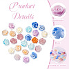 60Pcs 6 Colors Rose Shell Beads BSHE-CW0001-01-3