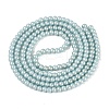 Baking Paint Glass Pearl Beads Strands DGLA-ZX001-05A-14-2