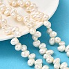 Natural Cultured Freshwater Pearl Beads Strands PEAR-I007-03D-01-1