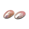 Natural Shell Cabochons SHEL-K008-07B-3