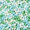 6/0 Glass Seed Beads SEED-L011-08A-02-3