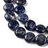 Natural Sodalite Beads Strands G-C159-A09-01-4