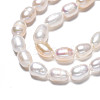 Natural Cultured Freshwater Pearl Beads Strands PEAR-N012-05D-4