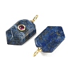 Natural Lapis Lazuli Pendants KK-CBAF9BC-20G-07-2