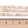 Natural Freshwater Shell Beads Strands SHEL-T011-02-2mm-4