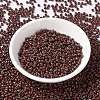 MIYUKI Round Rocailles Beads SEED-G008-RR4520-2