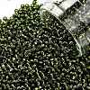 TOHO Round Seed Beads SEED-TR11-0037-1